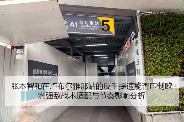 张本智和在卢布尔雅那站的反手提速能否压制欧洲强敌战术适配与节奏影响分析
