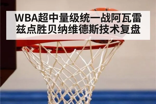 WBA超中量级统一战阿瓦雷兹点胜贝纳维德斯技术复盘