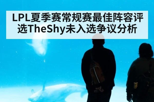 LPL夏季赛常规赛最佳阵容评选TheShy未入选争议分析
